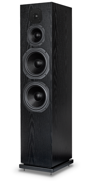 Dynavoice CL-28 Zwart